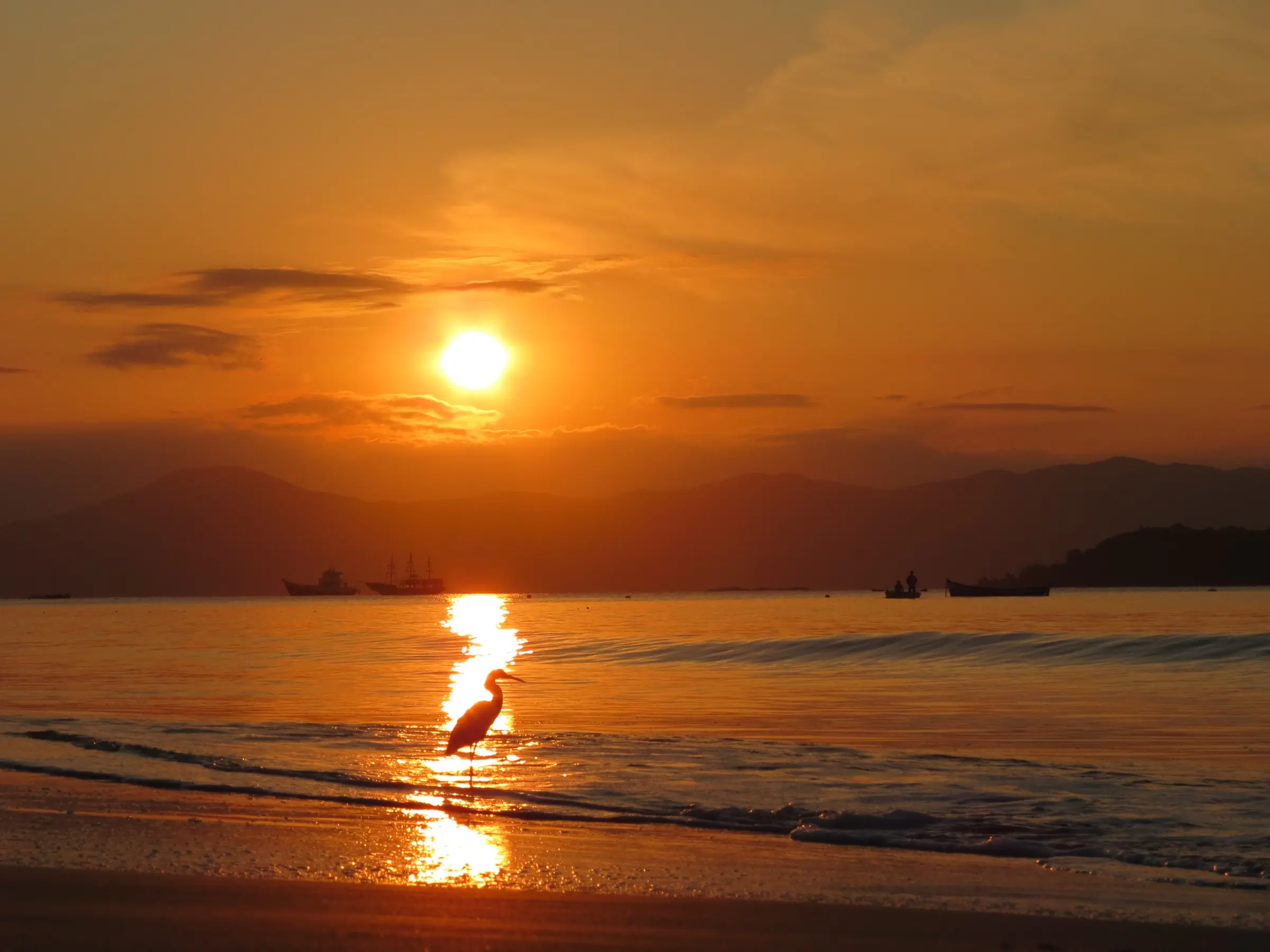 Nascer do sol na praia da Cachoeira do Bom Jesus, em Florianópolis, com uma garça na beira do mar